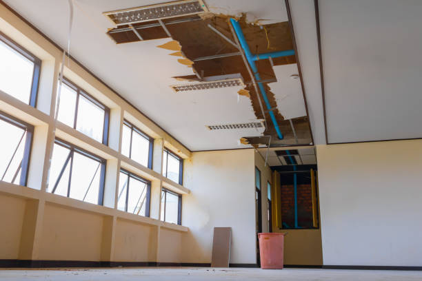 Best Residential water damage restoration  in Hubbard, OH