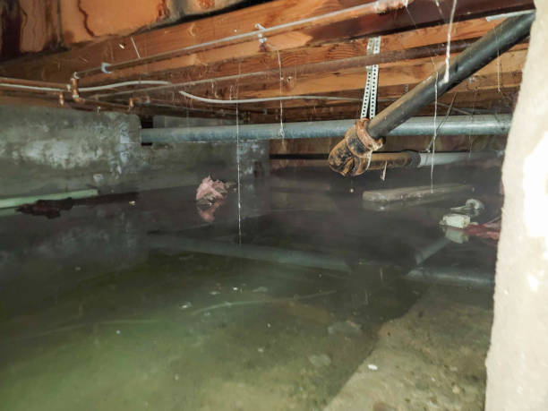 Best Water damage restoration near me  in Hubbard, OH