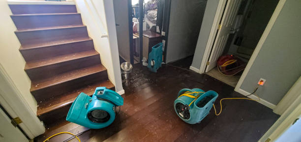 Best Water damage restoration specialists  in Hubbard, OH