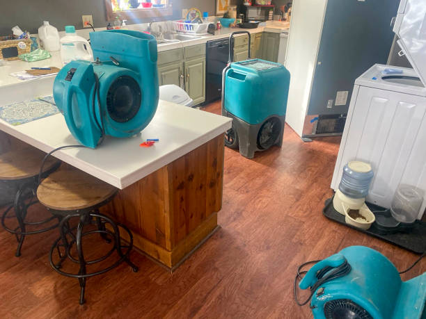 Best Professional water damage repair  in Hubbard, OH