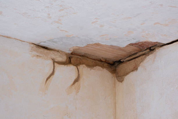 Best Flooded house restoration  in Hubbard, OH