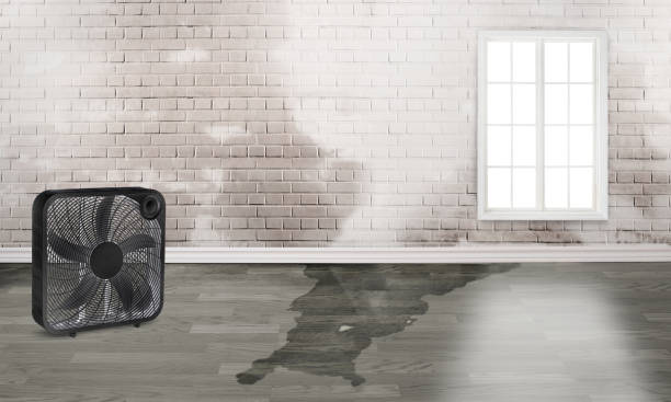  Hubbard, OH Water damage restoration Pros