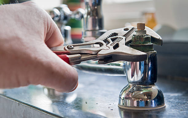 Best Mold removal after water damage  in Hubbard, OH