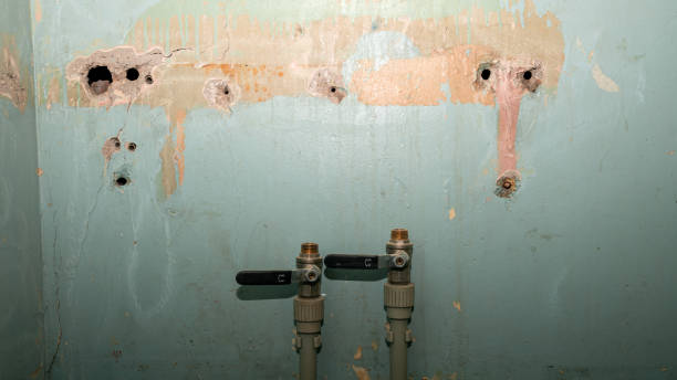 Best Sewage cleanup and water damage restoration  in Hubbard, OH