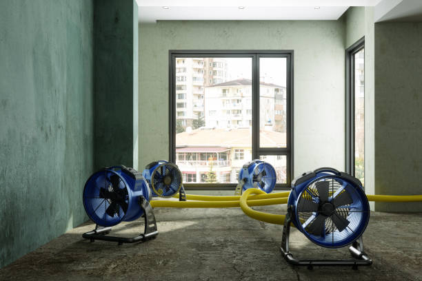 Best 24-hour water damage restoration  in Hubbard, OH